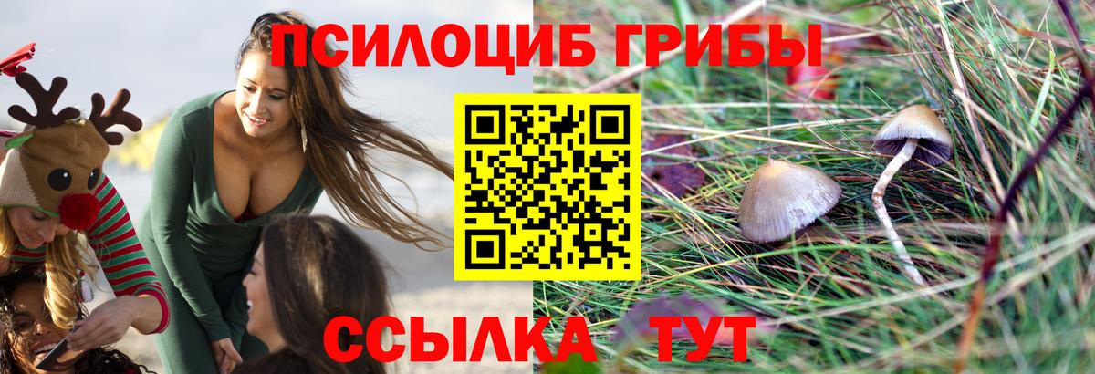 Златоуст  Галлюциногенные грибы прущие грибы  Вход с VPN 